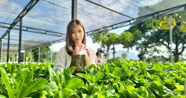 สวนปลูก ผักไฮโดรโปนิกส์