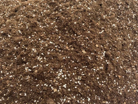 sunny garden ดินปลูก Super Soil
