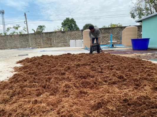 sunny garden ดินปลูก Super Soil