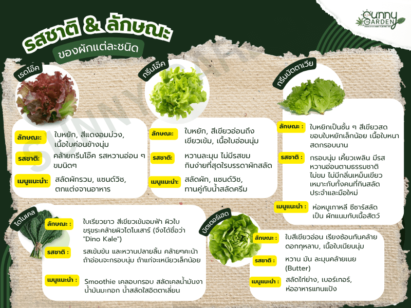 รสชาติ ลักษณะของผักแต่ละชนิด