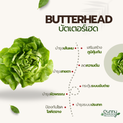 บัตเตอร์เฮด