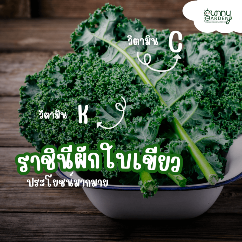 ผักเคล