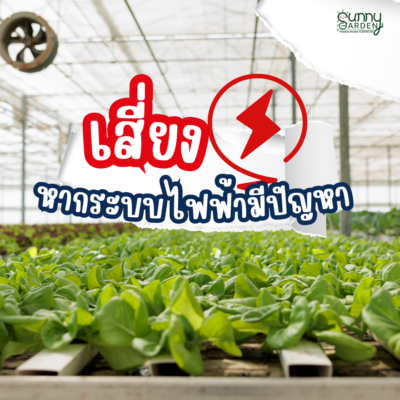 ไฮโดรโปนิกส์ VS ดิน