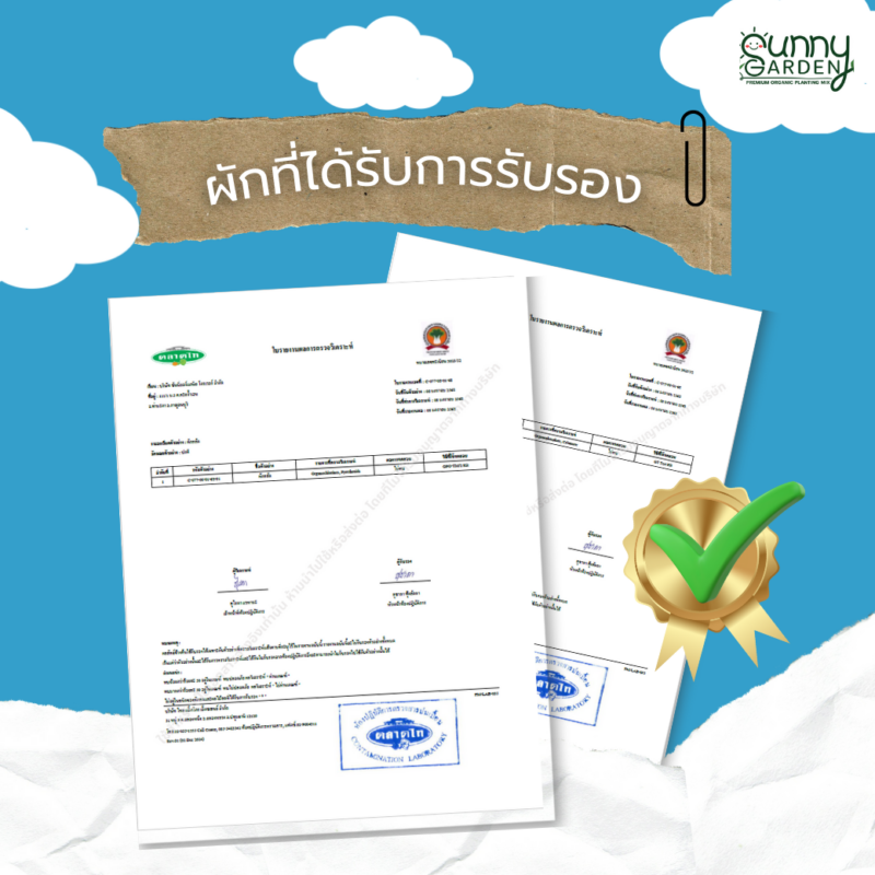 ผักปลอดสาร