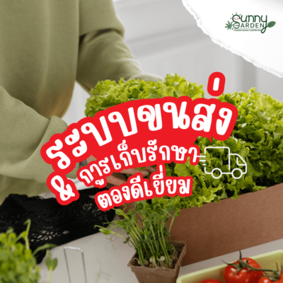 ทำไมผักปลอดสารจึงแพง