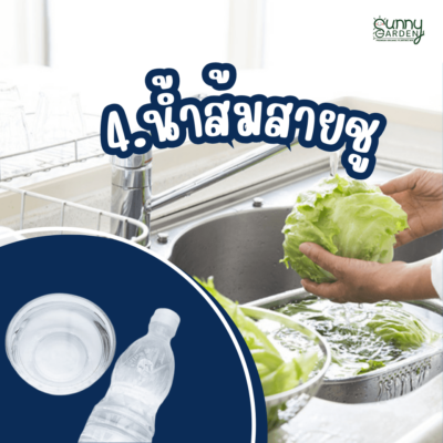 ล้างผัก