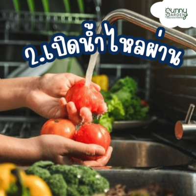 ล้างผัก