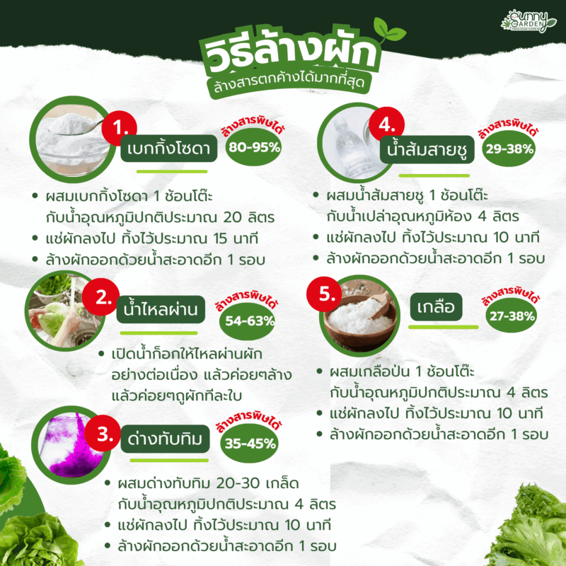 ล้างผัก