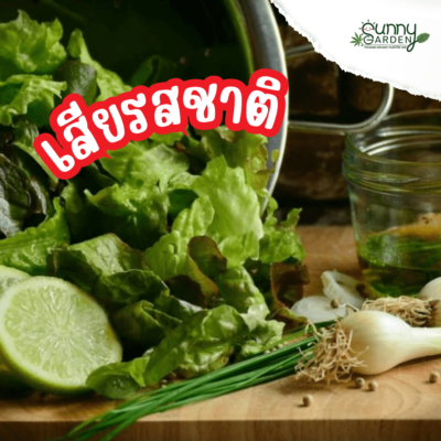 เบกกิ้งโซดาล้างผัก