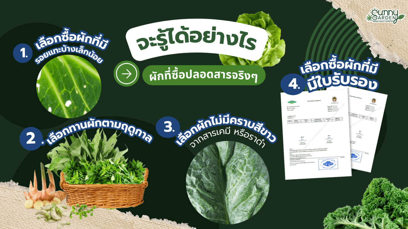 เลือกซื้อผัก
