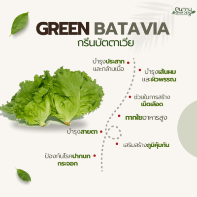 ประโยชน์บัตตาเวีย