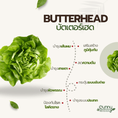 ปรโยชน์บัตเตอร์เฮด