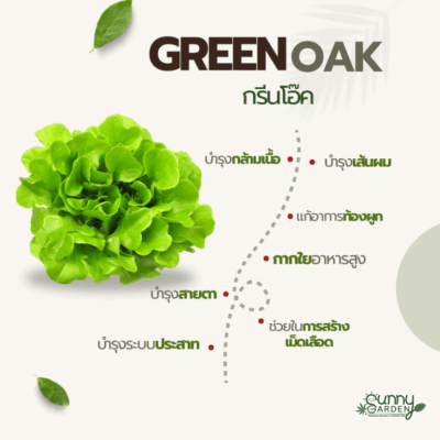 รสชาติผัก