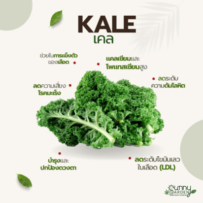 ประโยชน์เคล