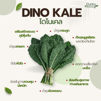 ประโยชน์ไดโนเคล