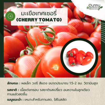 รสชาติผัก