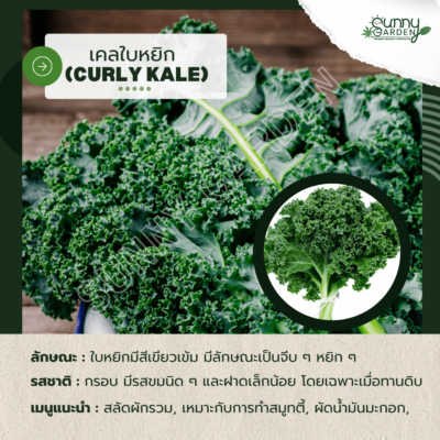 รสชาติผัก