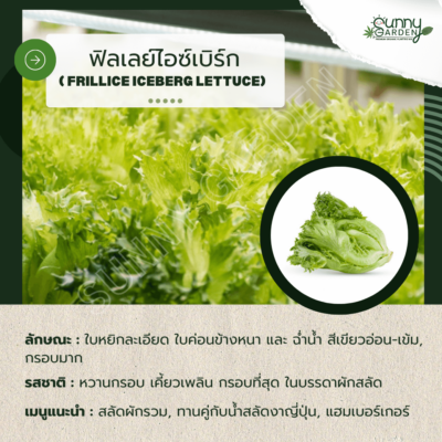 รสชาติผัก