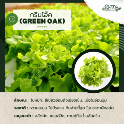 รสชาติผัก