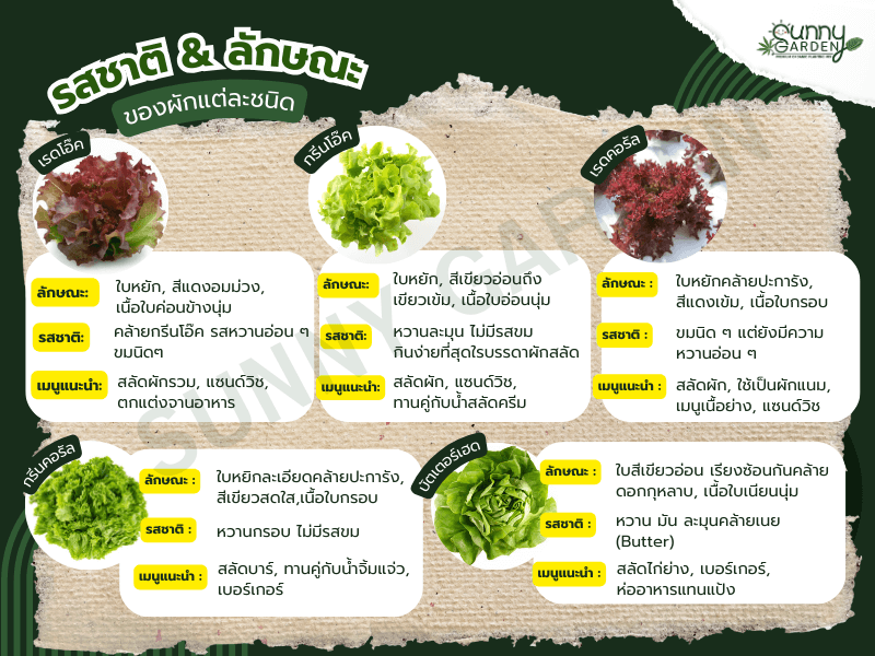 รสชาติผัก