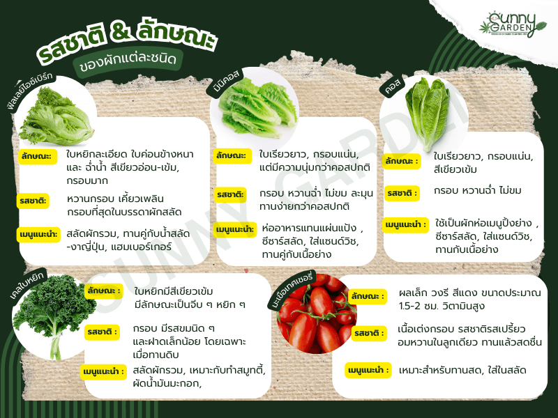 รสชาติ ลักษณะของผักแต่ละชนิด 