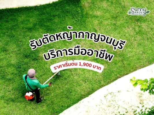 รับตัดหญ้า กาญจนบุรี