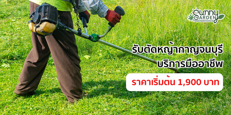 รับตัดหญ้า กาญจนบุรี