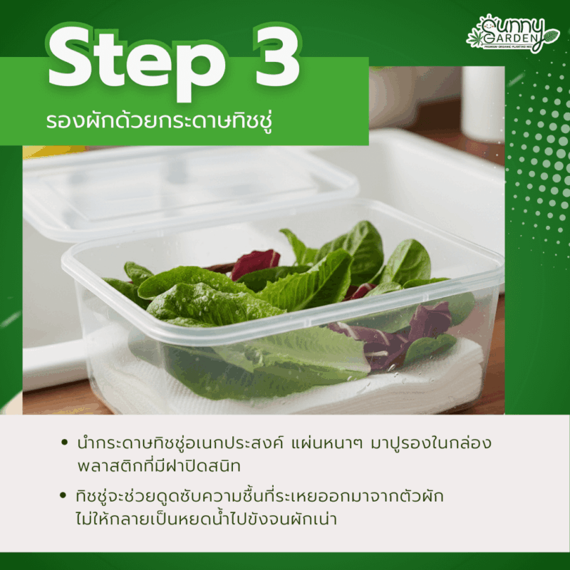 เก็บผักสลัดให้กรอบ