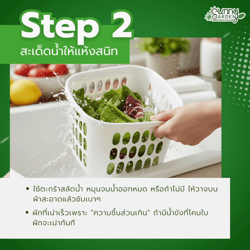 เก็บผักสลัดให้กรอบ