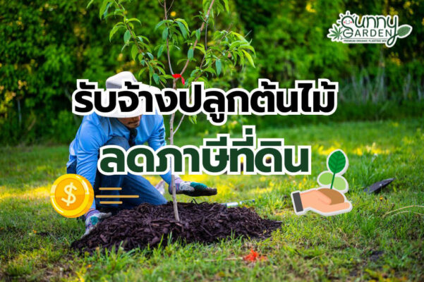 รับจ้างปลูกต้นไม้ กาญจนบุรี
